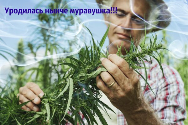 Ссылки на кракен блэкспрут