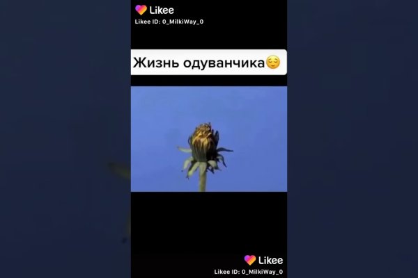 Kraken onion вход