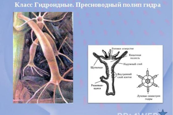 Как войти на сайт кракен