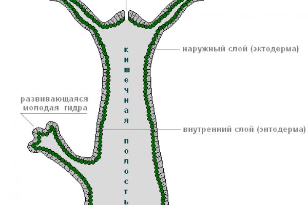 Как найти настоящую кракен даркнет ссылку