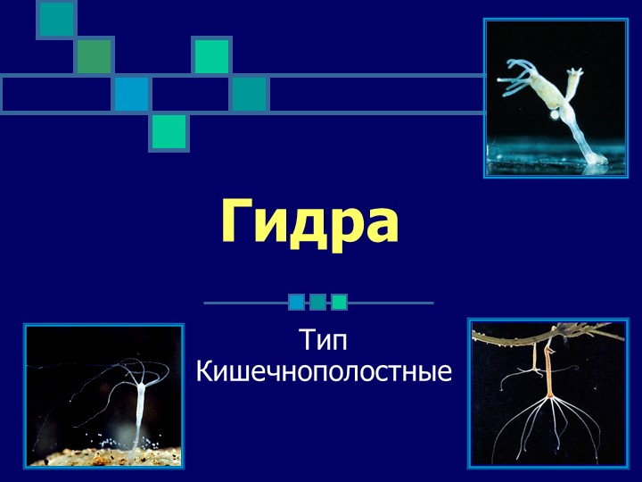 Как войти на сайт кракен
