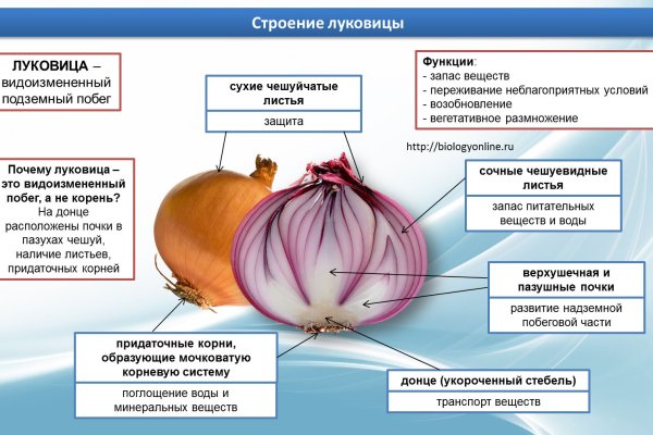 Kraken маркетплейс официальный